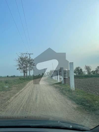 6 ACAR ZAMEEN NEAR FEROZPUR ROAD   PAKI  HAWLI