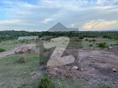 شاہ اللہ دتہ اسلام آباد میں 1 کنال رہائشی پلاٹ 1.3 کروڑ میں برائے فروخت۔