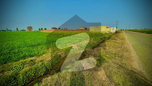 برکی