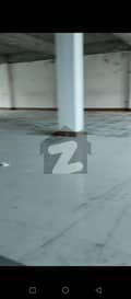 24 