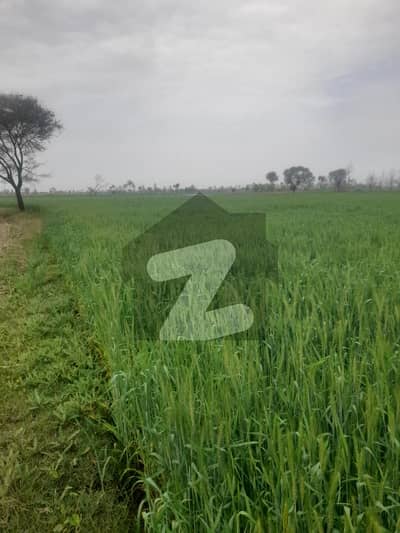 Agricultural Land Is Available For Sale Agricultural Land Is Available For Sale