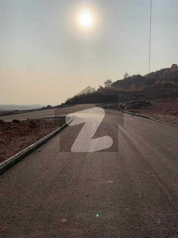 25 