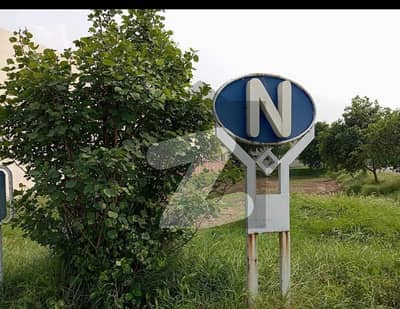 ڈی