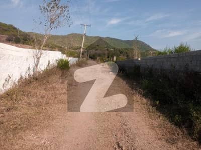 15 Kanal Farm Land For Sell Simly Dam Road
