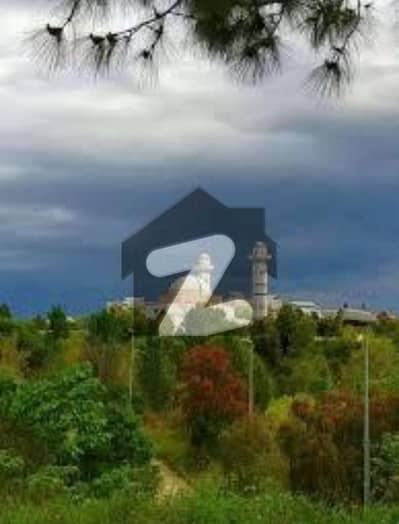 نیول