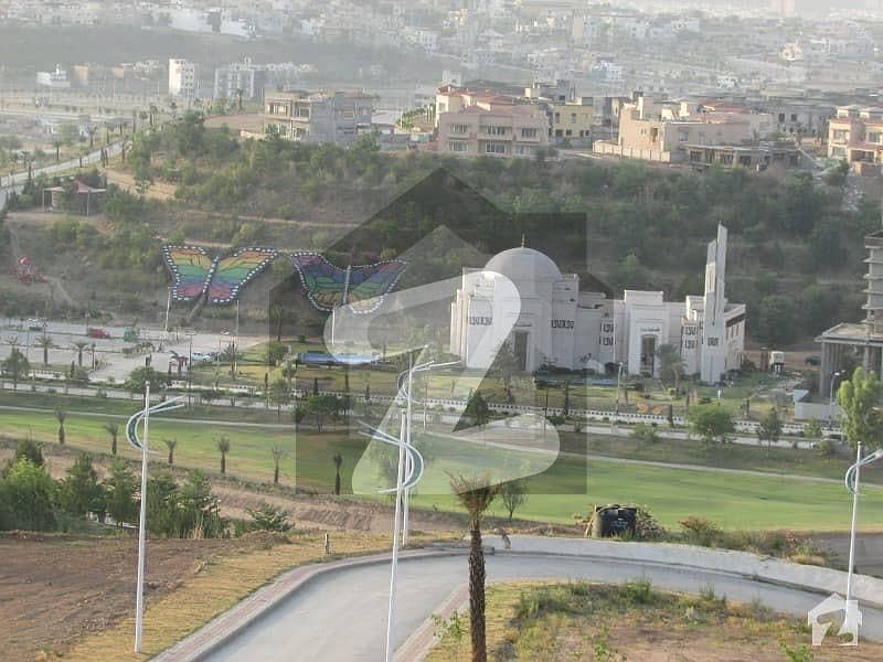 12 Marla Level Plot With 100% Solid Land In Populated Area 12 Marla Level Plot With 100% Solid Land In Populated Area