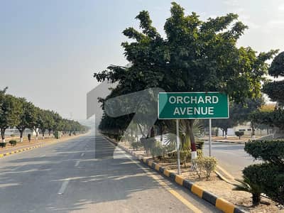 ملٹی