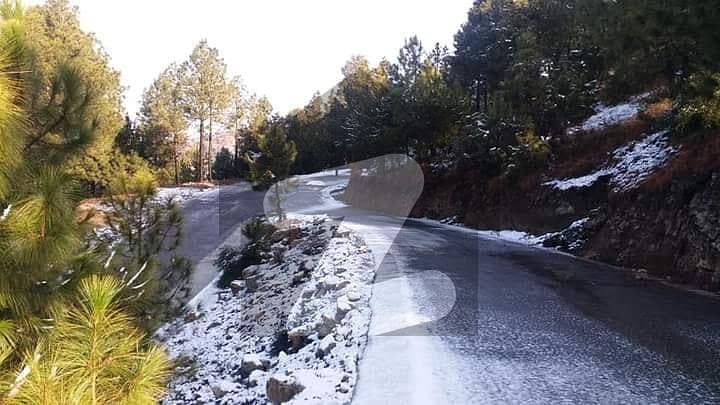 1 Kanal Farmhouse Plot For Sale In Pine City Margalla Hills, Pir Sohawa Road | Scenic Views &Amp; Luxury Amenities 1 Kanal Farmhouse Plot For Sale In Pine City Margalla Hills, Pir Sohawa Road | Scenic Views &Amp; Luxury Amenities