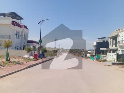 40x80