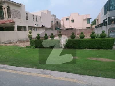 ڈی