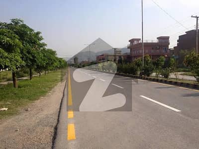 حیات