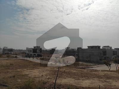 Sector