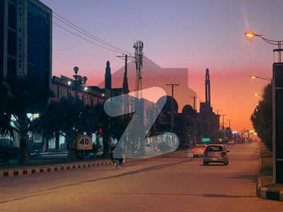 نیو