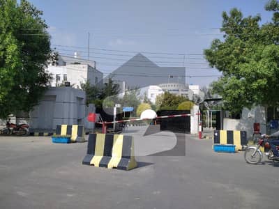 سینٹرل