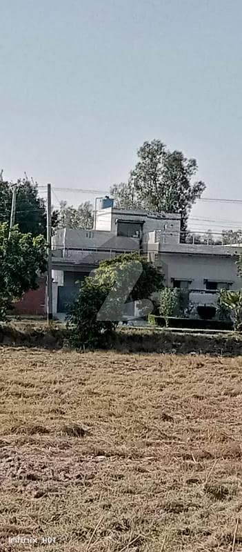 گورنمنٹ آفیسرز ہاؤسنگ سوسائٹی ۔ بلاک اے گورنمنٹ آفیسرز کوآپریٹیو ہاؤسنگ سوسائٹی,لاہور میں 2 کنال رہائشی پلاٹ 1.3 کروڑ میں برائے فروخت۔ گورنمنٹ آفیسرز ہاؤسنگ سوسائٹی ۔ بلاک اے گورنمنٹ آفیسرز کوآپریٹیو ہاؤسنگ سوسائٹی,لاہور میں 2 کنال رہائشی پلاٹ 1.3 کروڑ میں برائے فروخت۔
