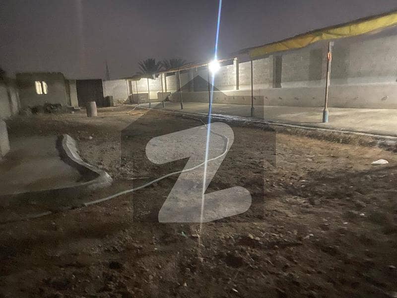 Cattle & Dairy Business Ready Farm House Available In Rent. Cattle & Dairy Business Ready Farm House Available In Rent.
