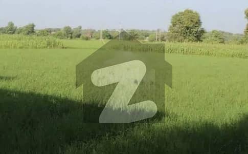 6 Acre Zarayi Zameen Raqba 3 Acre Kino Baagh Tubewell Shiryanwali 92 Chak Nb Sargodha All Facilities Available 6 Acre Zarayi Zameen Raqba 3 Acre Kino Baagh Tubewell Shiryanwali 92 Chak Nb Sargodha All Facilities Available