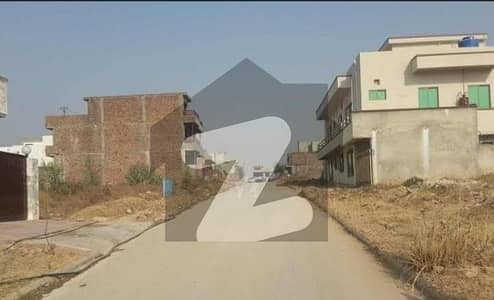 جناح