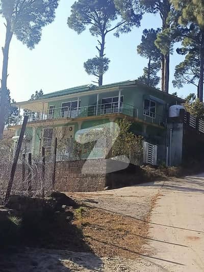 Ideal Residential Plot In Nature Available on Angoori Road, Near Patriata Ideal Residential Plot In Nature Available on Angoori Road, Near Patriata