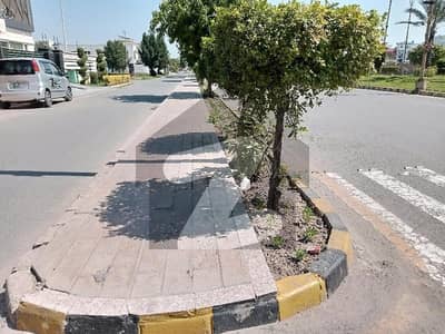 ماسٹر