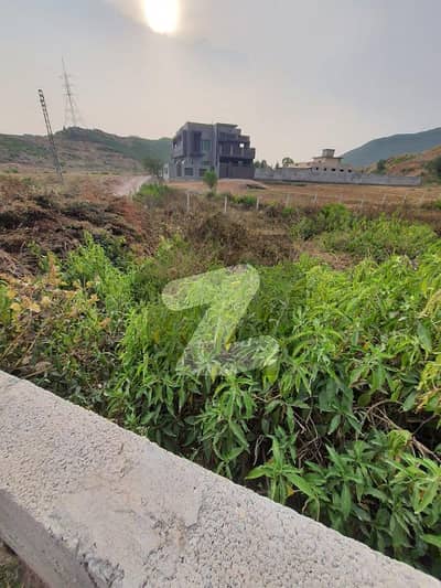 8 Kanal 8 Marla Land Available For Sale In Khanpur