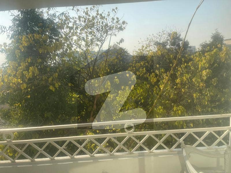 44 