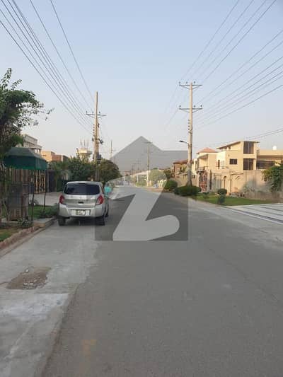 برکت