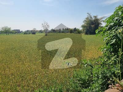 40 Kanal Farm House Is Available For Sale In Orchad Scheme Mian Muree Road Islamabad