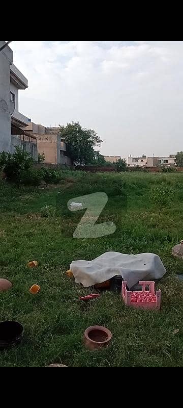 ویلینشیاء