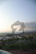 20 