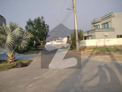 سینٹرل