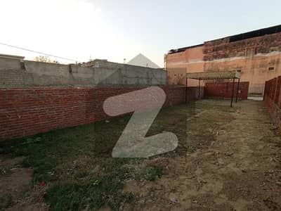 یونیورسٹی