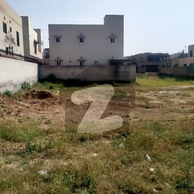 پیراگون