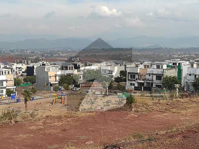 Sector