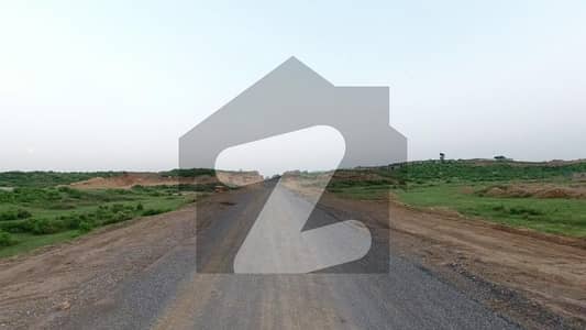 سی