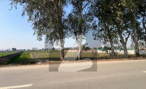 برکی