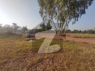 جی