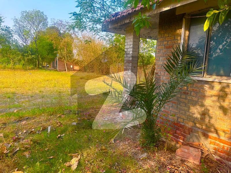 14 Kanal Farm House /Open Land Available For Sale Main Bedian Road Thethar 14 Kanal Farm House /Open Land Available For Sale Main Bedian Road Thethar