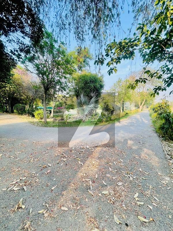14 Kanal Farm House For Sale Main Bedian Road Thethar