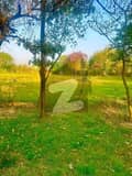 27 