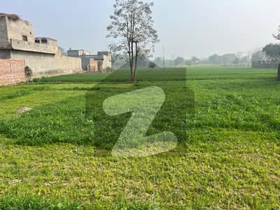 6 Kanal Super Hot Ideal Location Farm House Land For Sale On Main Bedian Road
