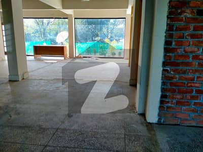 G-11