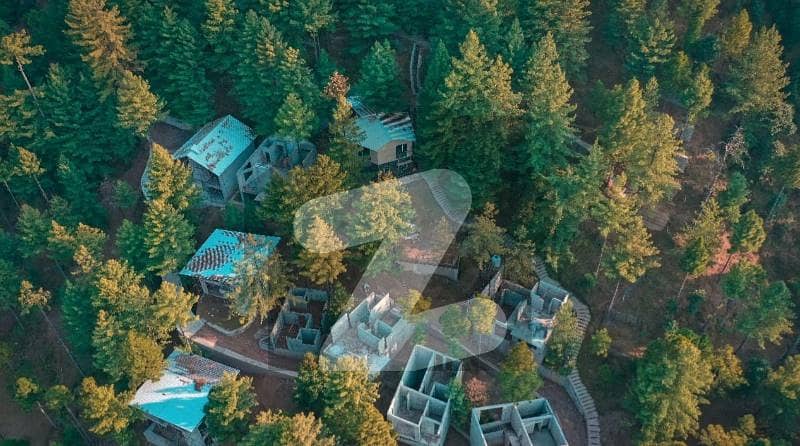 Murree Cottages on Main Tourism Highway Murree Cottages on Main Tourism Highway