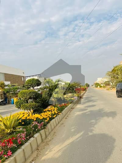ڈی
