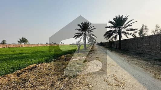بیدیاں