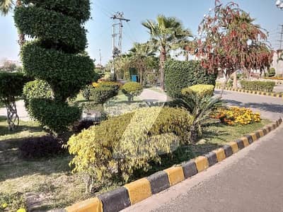 اجوا