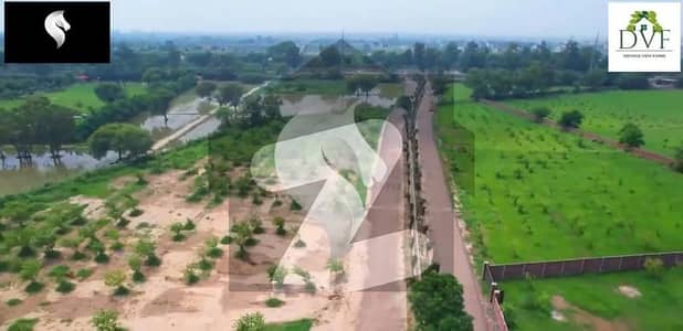 Defence View Farms A Serene Gated Community With Lush Greenery Opposite DHA Phase 7 | Just 115 Lac Per Kanal! Defence View Farms A Serene Gated Community With Lush Greenery Opposite DHA Phase 7 | Just 115 Lac Per Kanal!