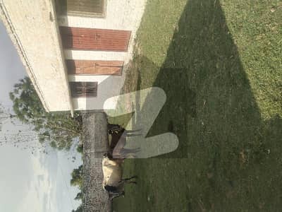 سہالا