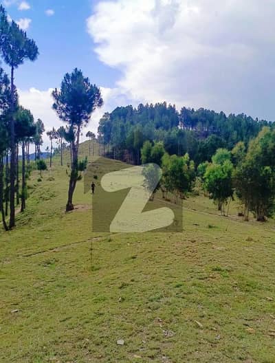 Affordable Residential Plot For Sale In Qalandarabad