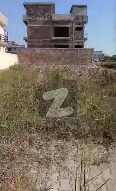 پارک